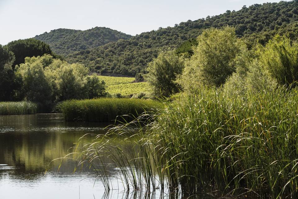Vue du lac