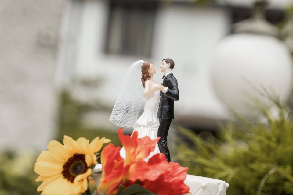 M & J