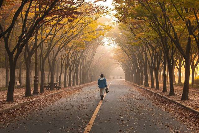 Mattseyes Photography