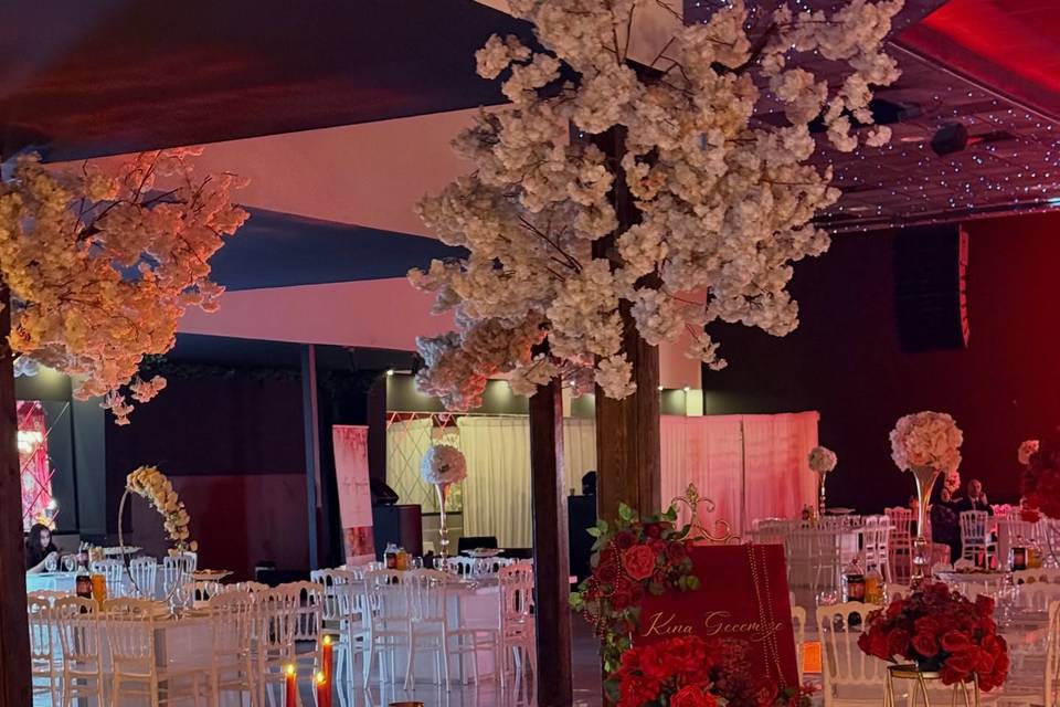 Salle Aux Tulipes