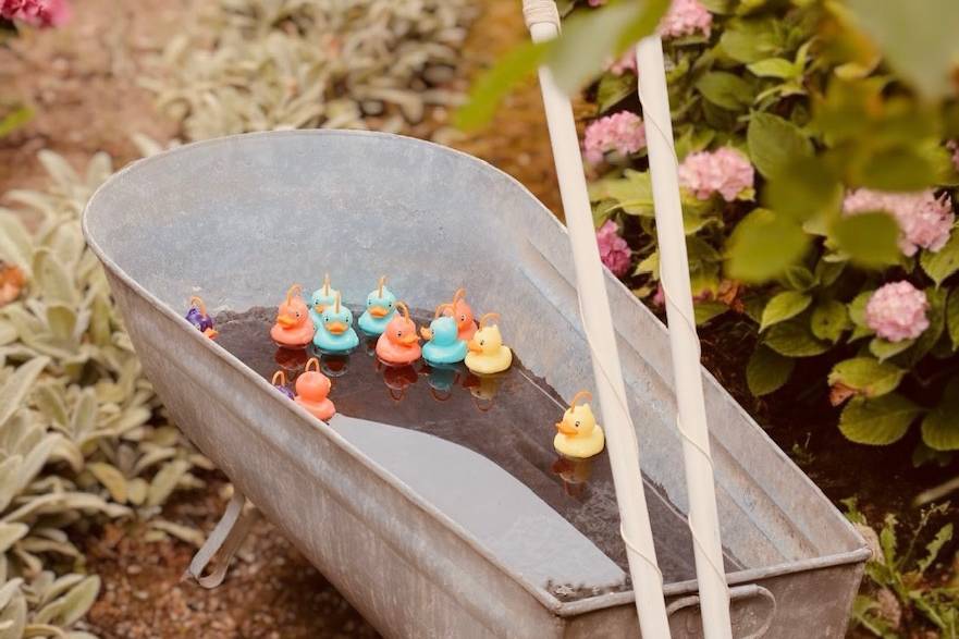 Pêche aux canards