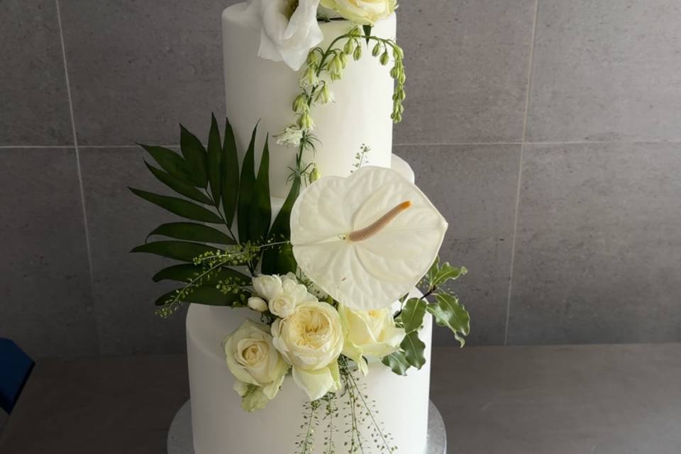 WhiteTropical
