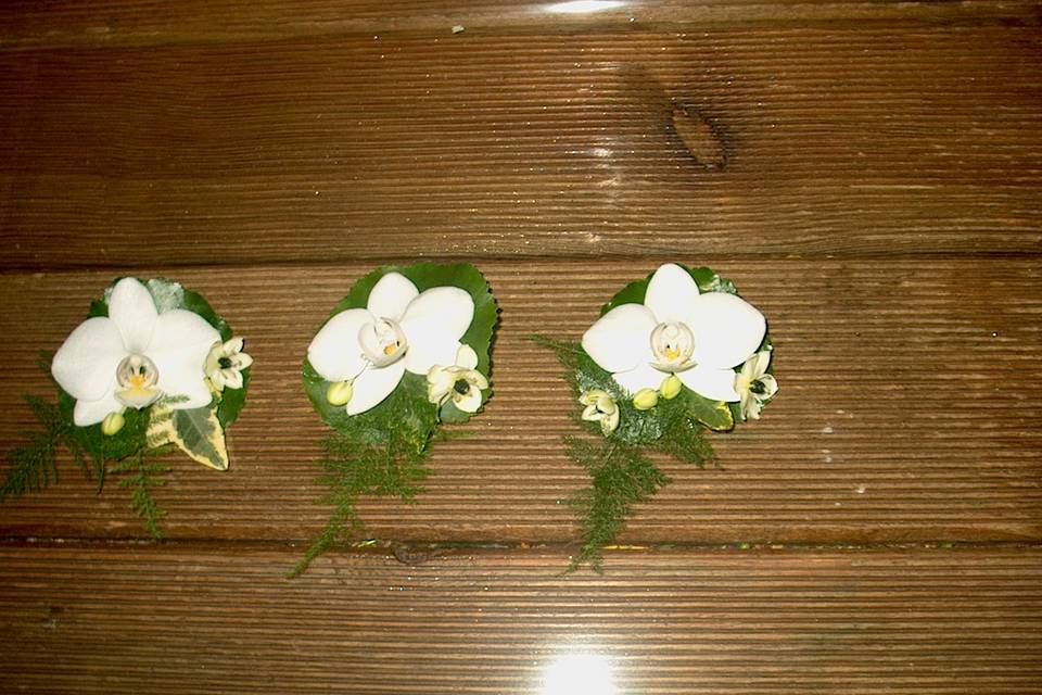 Boutonnières