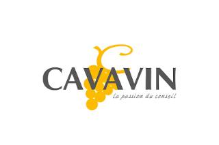 Cavavin