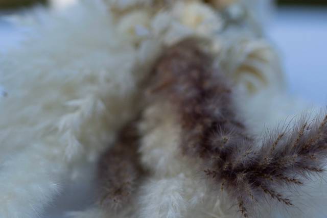 Photographie