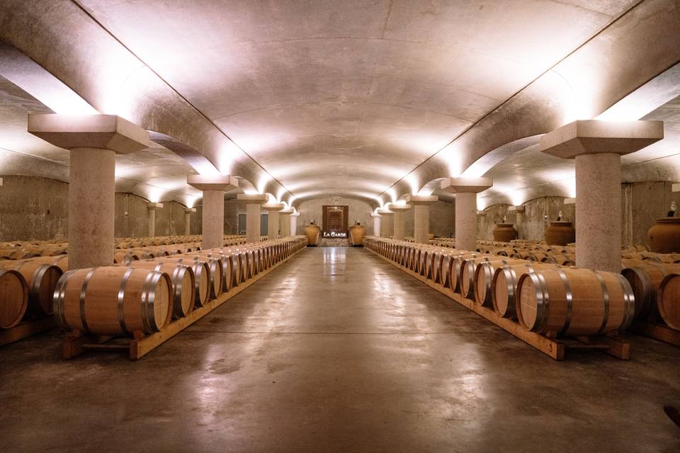 Le chai à barriques