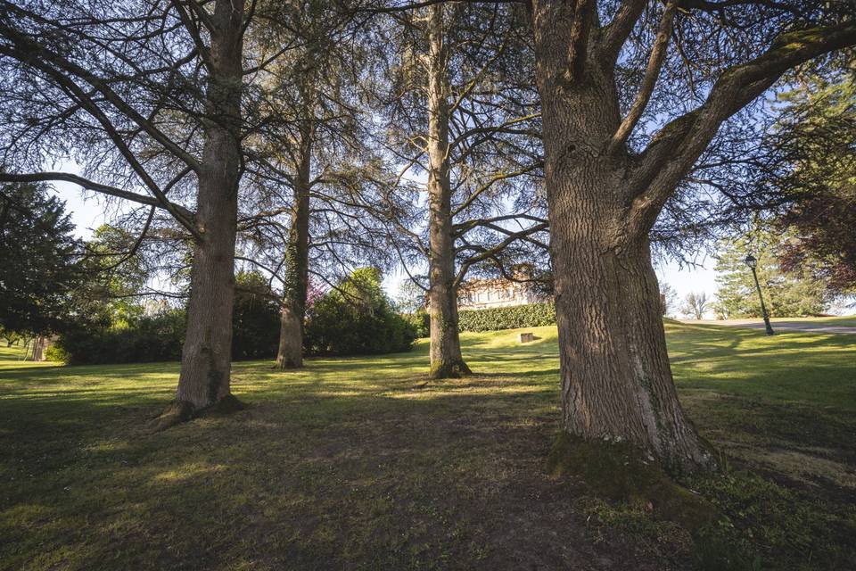 Château de Loubéjac