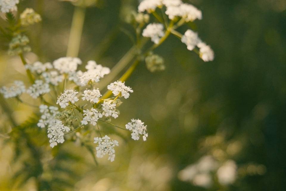 Film mariage