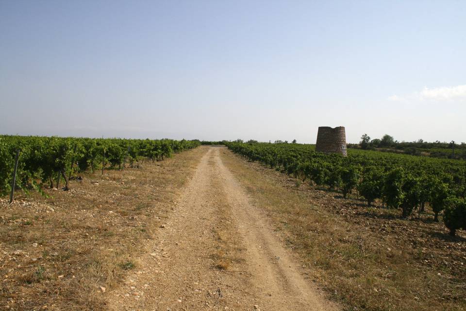 Auberge du Domaine de Rombeau