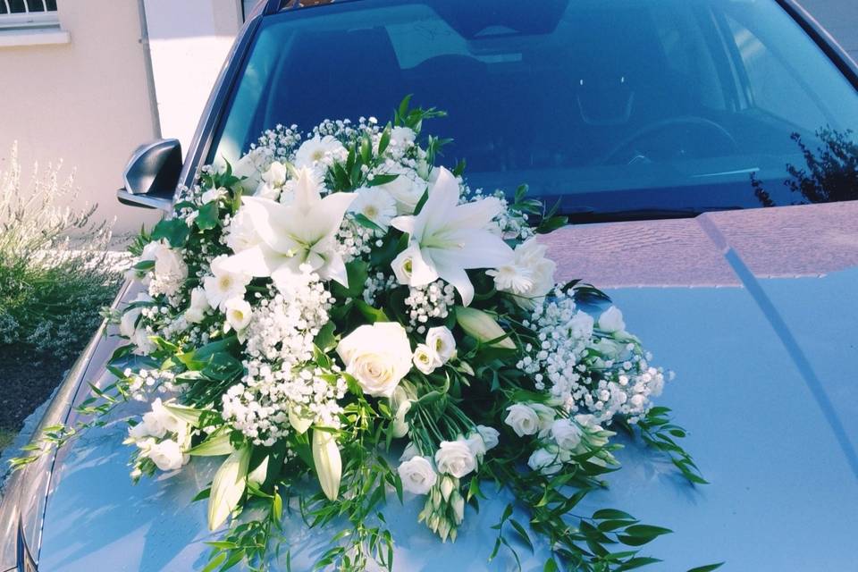 Décoration avant de voiture
