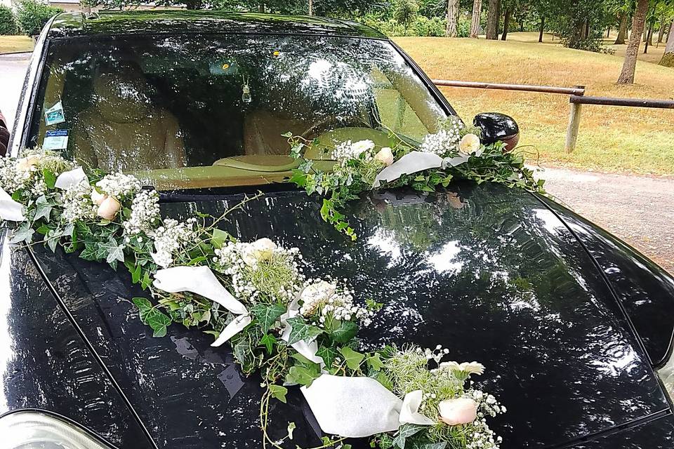 Décoration de voiture