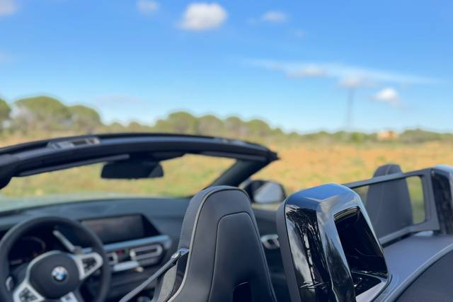 BMW Z4-5