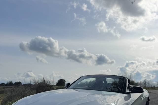 BMW Z4-6