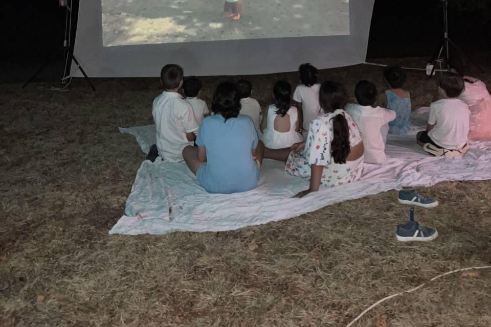 Ciné plein air