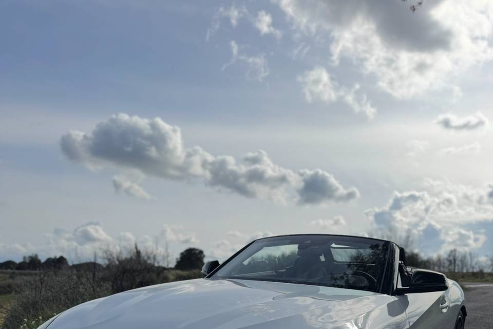 BMW Z4-6