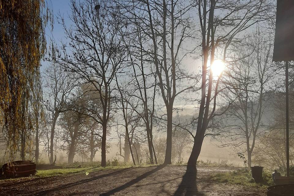 Lever du Soleil pleine nature