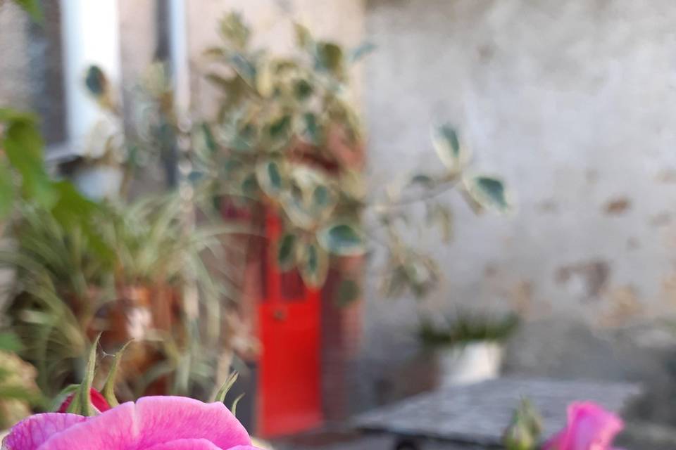 Jardin