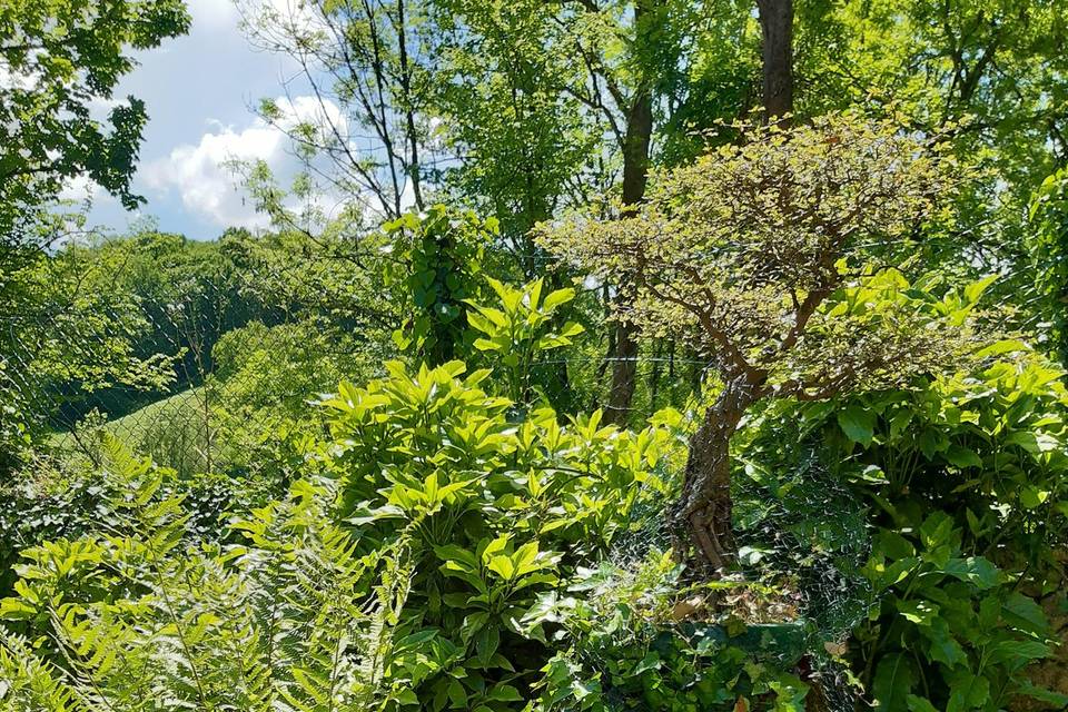 Jardin