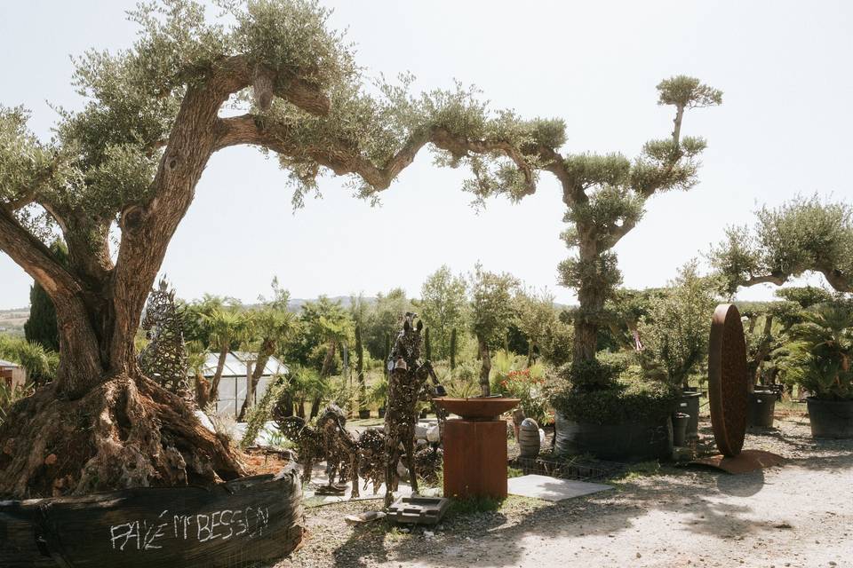arbres_oliviers_sculptures_metal