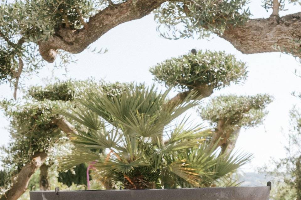 brasero_metal_jardin_olive