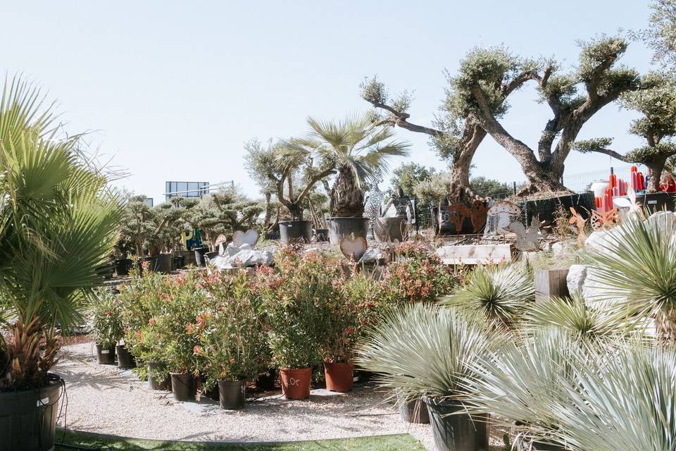 plantes_pots_exterieur_decoration