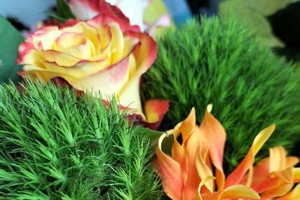 Fleurs