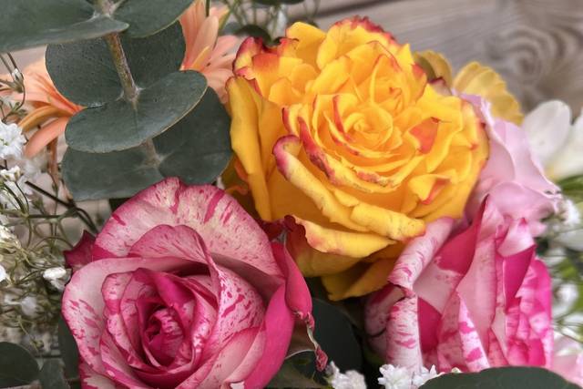 Fleurs
