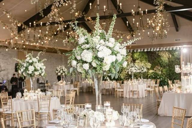 Elya Events