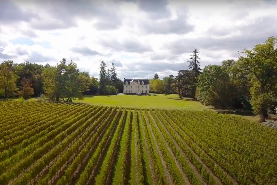 Chateau & Vines