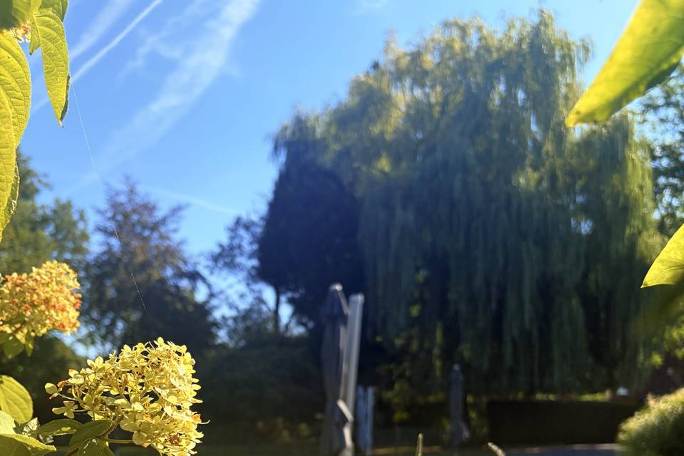 Le Jardin