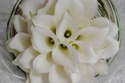 Bouquet de mariée calla/Estelle Leclerc