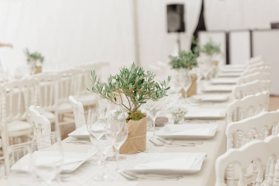 Mariage provençal - champêtre