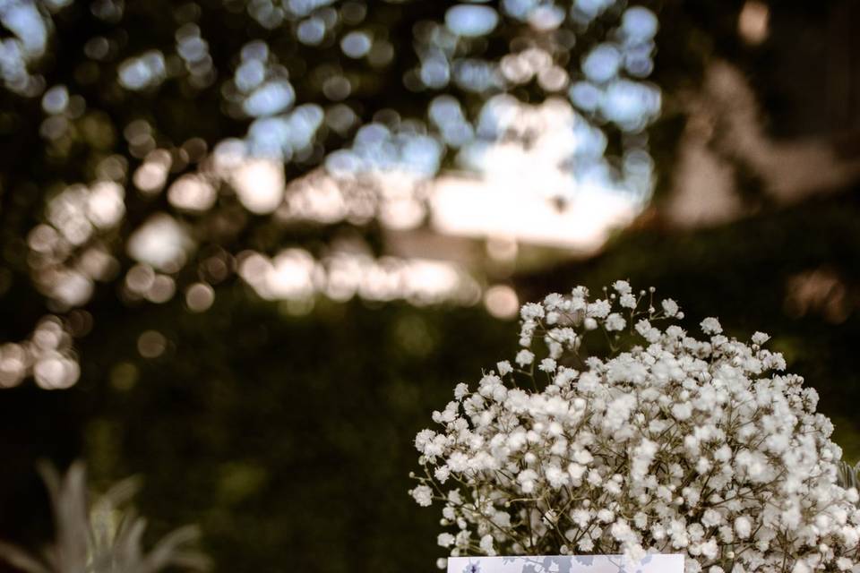 Mariage Angèle et Willy