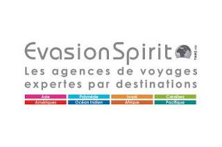 Evasionspirit