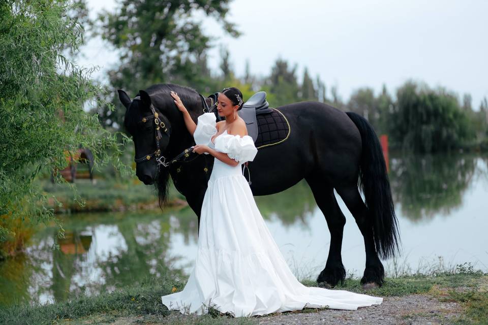 Cheval d'un Jour