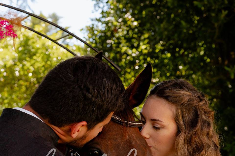 Mariage Cheval d'un jour