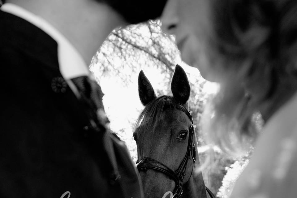 Mariage Cheval d'un jour