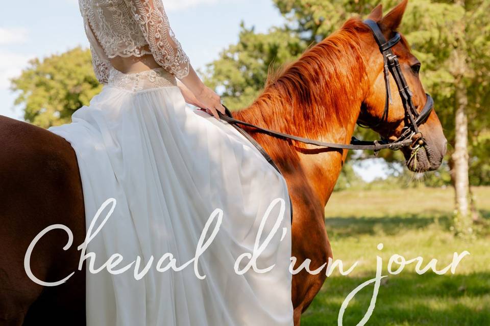 Mariage Cheval d'un jour