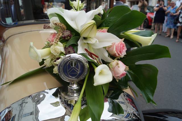 Décor de voiture