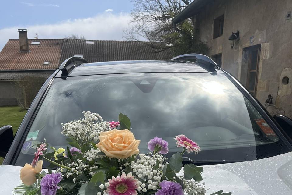 Capot de voiture