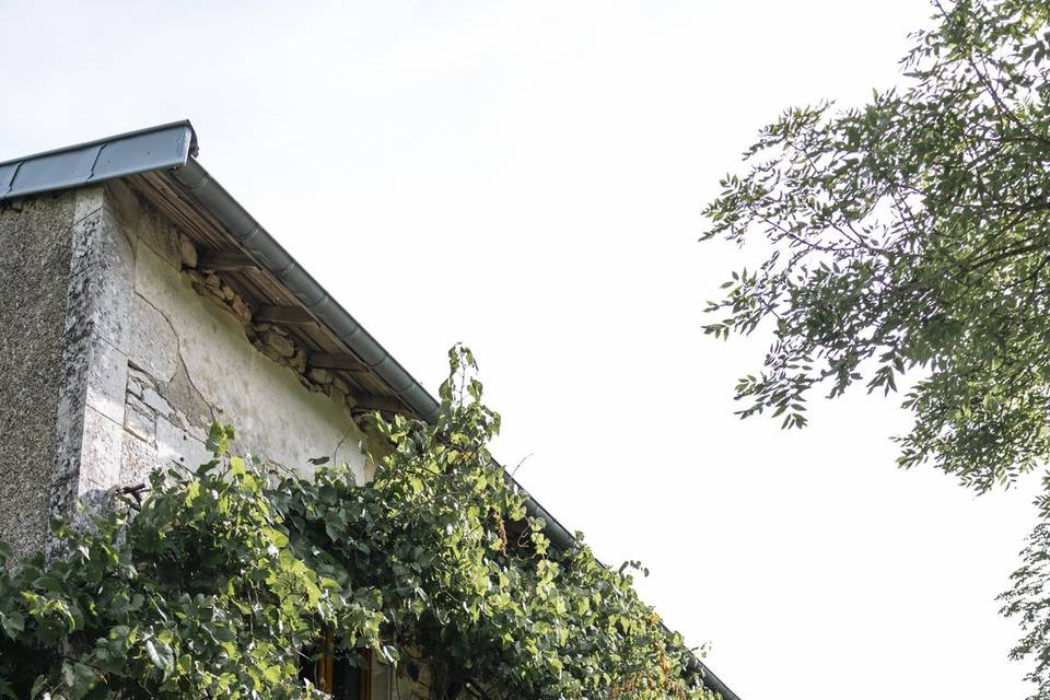 Moulin Français