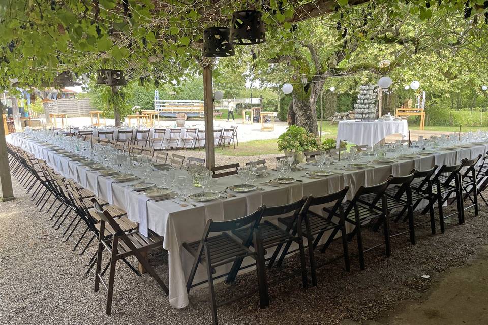 Dîner sous les vignes