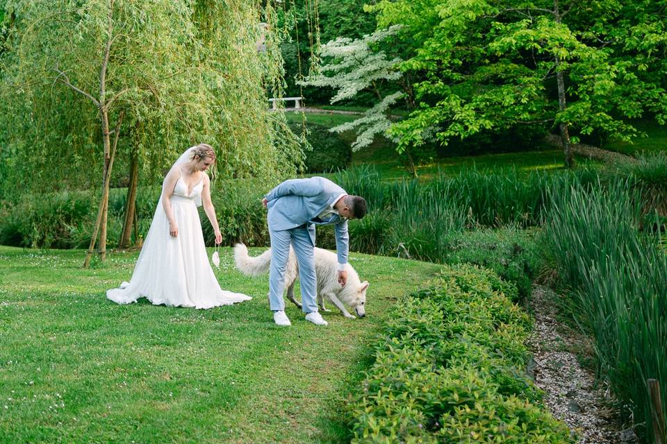 Séance photo couple avec chien