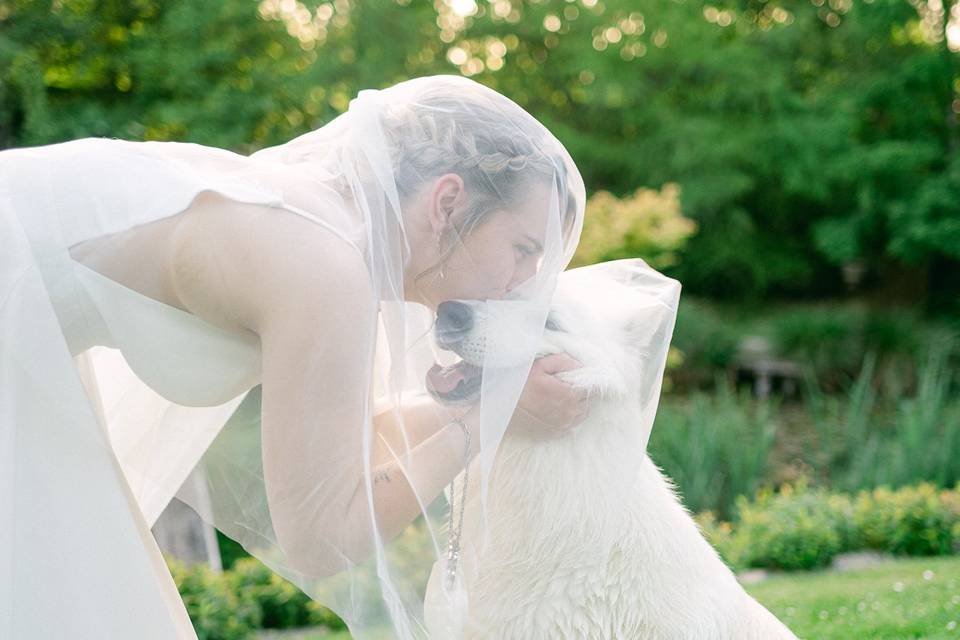 Séance photo couple avec chien