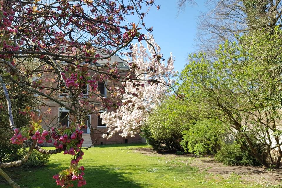 Jardin fleuri