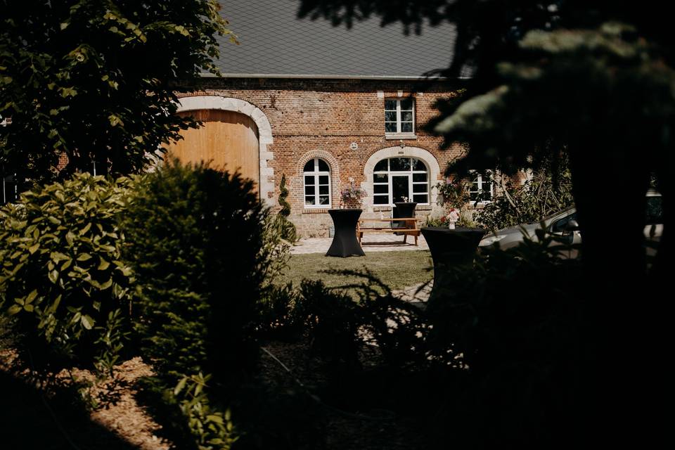 Cour