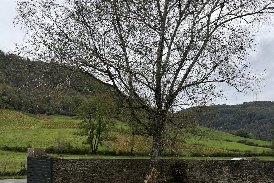 Domaine de Jujurieux