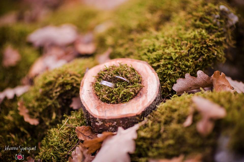 Elopement forêt