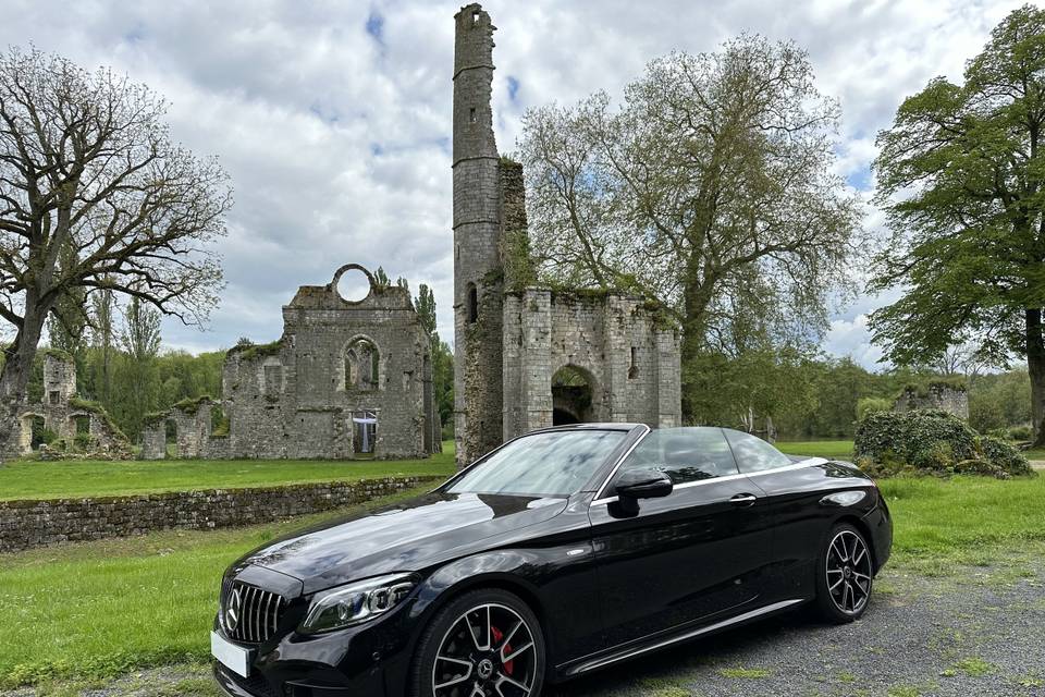 Les ruines du château