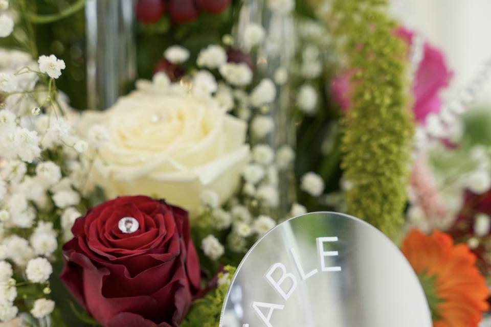 Photo mariage Loiret